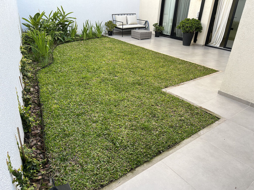 greener_patios_1 greener_patios_1